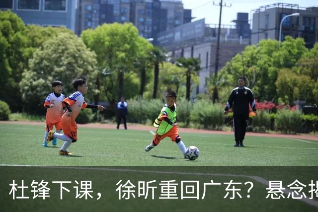 杜锋下课，徐昕重回广东？悬念揭晓，名记官宣，回归时间曝光