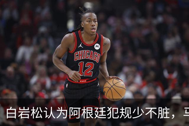 白岩松认为阿根廷犯规少不脏，马宁：我们更多是看犯规性质